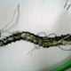 Illustration for article titled Cross Stitch Update!